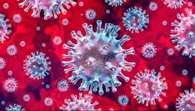 Descubren en China un nuevo virus similar al COVID-19 y encienden las alertas
